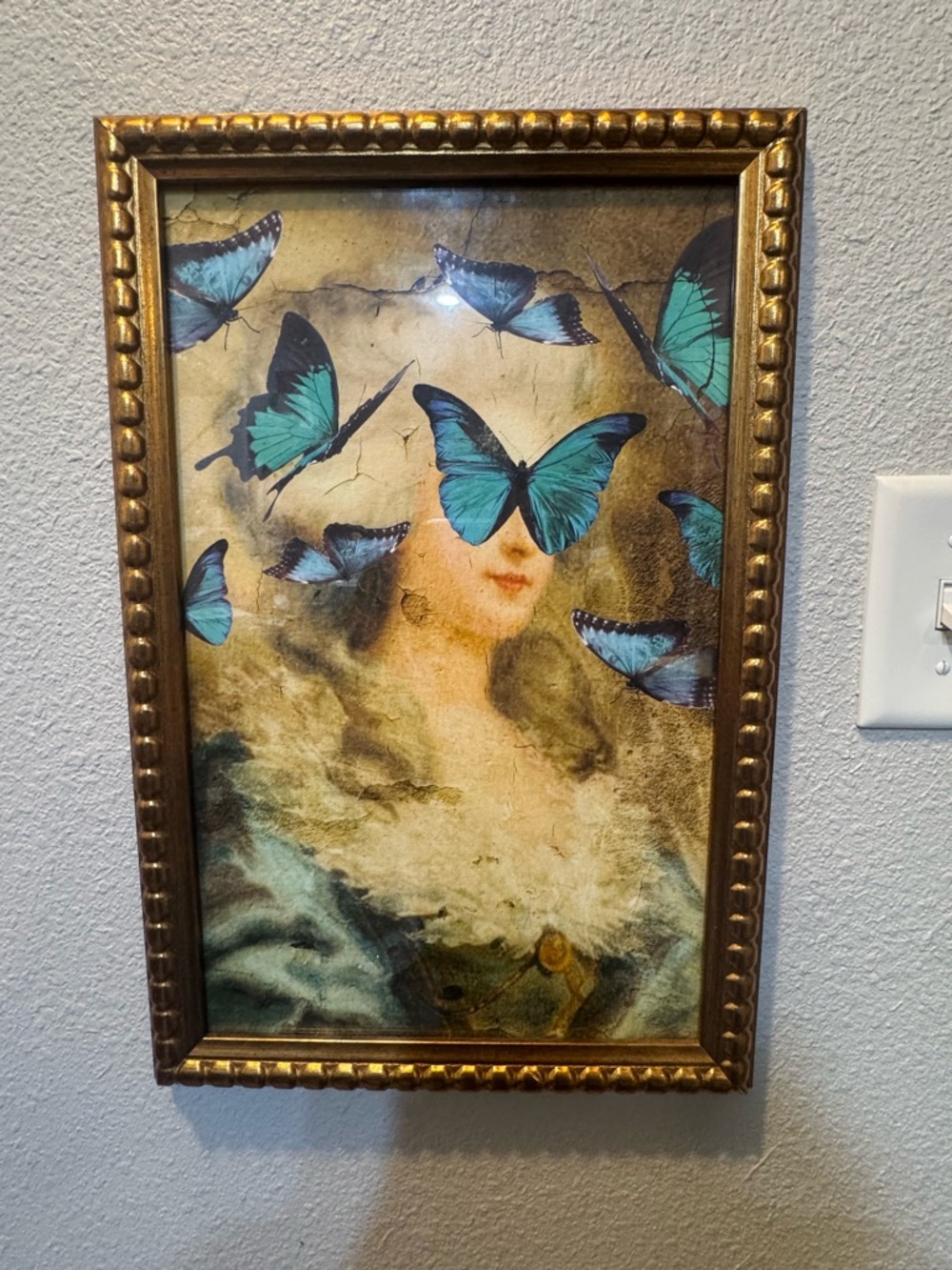 Sapna Shah Victorian Lady Butterfly Portrait Art Print Collector Art